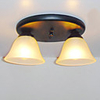 Flush Mount, 2 Light, Minimalist Painting Glass