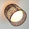 Hollow Flush Mount,  1 Light,  Modern Frosted Painting Metal