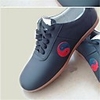 Kung Fu Shoes Training Shoes Spring and Summer Soft Leather Taichi Shoes Taiji Leather Shoes