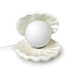 Modern Creative Table Lamp In Shell Shape