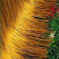 Modern Shininy Crystal Solid Curtain Line(39"W × 79"L)