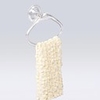 Modern Transparent Plastic Suction Towel Rings