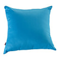 Modern Vivid Solid Decorative Pillow With Insert