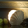 Modern/Contemporary Shell Ceramic Table Lamp