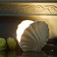 Modern/Contemporary Shell Ceramic Table Lamp