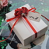 Nice Cuboid Favor Box with Ribbon Bowknot - Set of 30 (Tag Not Included)