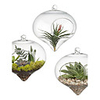 Nice Hanging Glass Vase