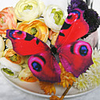 Nice Ruby Plastic Butterfly (Set Of 6)