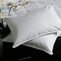 Pack of 2 100% Cotton 3D Polyester Sham Stuffers