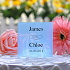 Personalized Cake Topper-Coconut Trees.