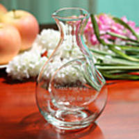 Personalized Simple Design Decanter with Ice Holder