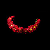 Red Daisy Flower Girl Garland/Headpiece