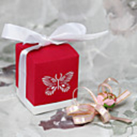 Red Favor Box With Laser Cut Butterfly (Set of 12)