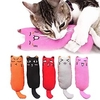Rustle Sound Catnip Toy Cats Products for Pets Cute Cat Toys for Kitten Teeth Grinding Cat Plush Thumb Pillow Pet Accessories Lightinthebox