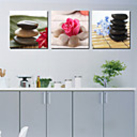 Stretched Canvas Art Botanical Pink Roses Set of 3