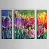 Stretched Canvas Art Botanical Tulip Farm by Mindy Sommers Set of 4