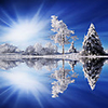 Stretched Canvas Art Landscape Cold Light by Philippe Sainte-Laudy Ready to Hang