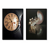 Stretched Canvas Art Still Life Reflect and Pearl Nautilus by Cecile Baird Set of 2