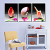 Stretched Canvas Art Still Life Shells Set of 3