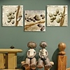 Stretched Canvas Art Stones And Shells Set of 3
