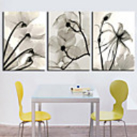 Stretched Canvas Print Botanical Dried Floral Set of 3 1301-0228