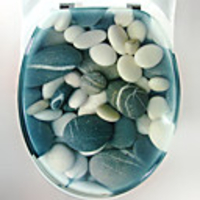 Stylish Blue Cobble Stone Pattern Toilet Seat