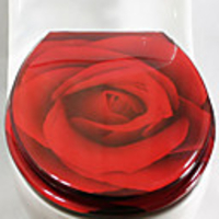 Stylish Fancy Red Rose Pattern Toilet Seat
