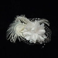 Stylish Net With Flower/Feather Women