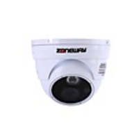 ZONEWAY NC849M-P 1080P HD Vandal-proof IP Dome Camera(NVR Recording,  ONVIF 2.0,  Email Alerts)