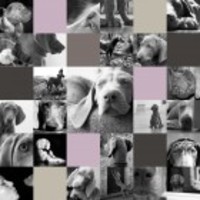 12x12 Personalised Photomontage Printed on Canvas