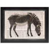 A Wonderful Zebra - Dictionary Print