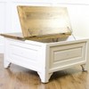 Brocante Trunk Coffee Table - Small
