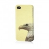Eagle Eyed iPhone Case