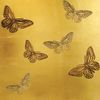 Flight of the lepidoptera