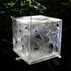 Flock-Follies Bird Feeder - Clear Frost