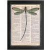 Green Dragonfly - Dictionary Print