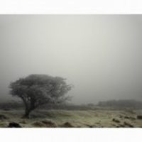 Moors. 2