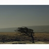 Moors. 4