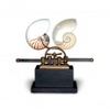 Nautilus on the Sliding Machine