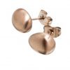 Piedra Earrings in Rosegold or Polished Steel