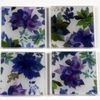 Succulents Coasters