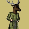 The Stately Stag - Print
