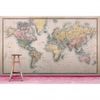 Vintage World Map Mural