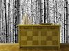 White Wood Wallpaper