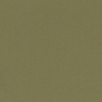 Roller Blind Splash Pesto