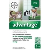 Advantage 40 Spot On for Small Cats,  Small Dogs & Pet Rabbits - 4 Pipettes