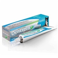 Dentagen Toothpaste 70g