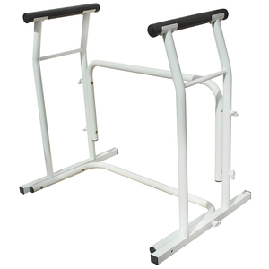 Freestanding Toilet Frame