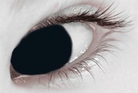 MesmerEyez XtremeEyez 1 Day Black Out Contact Lenses