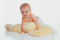 BabyDan Lambskin Short wool 70-90cm